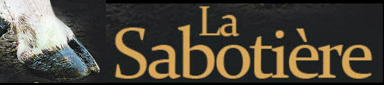 logo La Sabotière